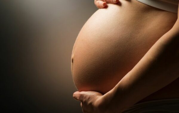Mécanismes d&rsquo;action sur la fertilité